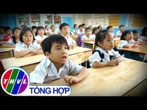 THVL | Năm con heo: Hệ lụy nhãn tiền từ sinh con năm vàng