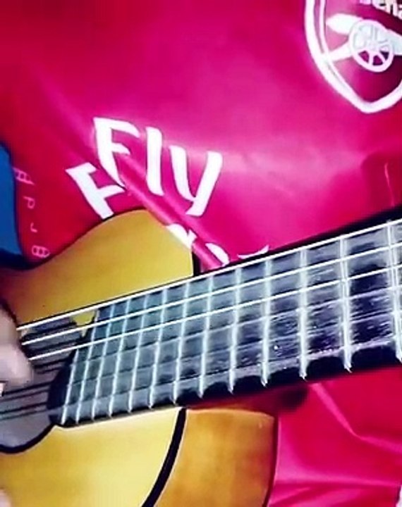 Details in the fabric (Short Cover Guitalele)