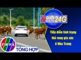 THVL | Người đưa tin 24G (11g ngày 26/01/2019)