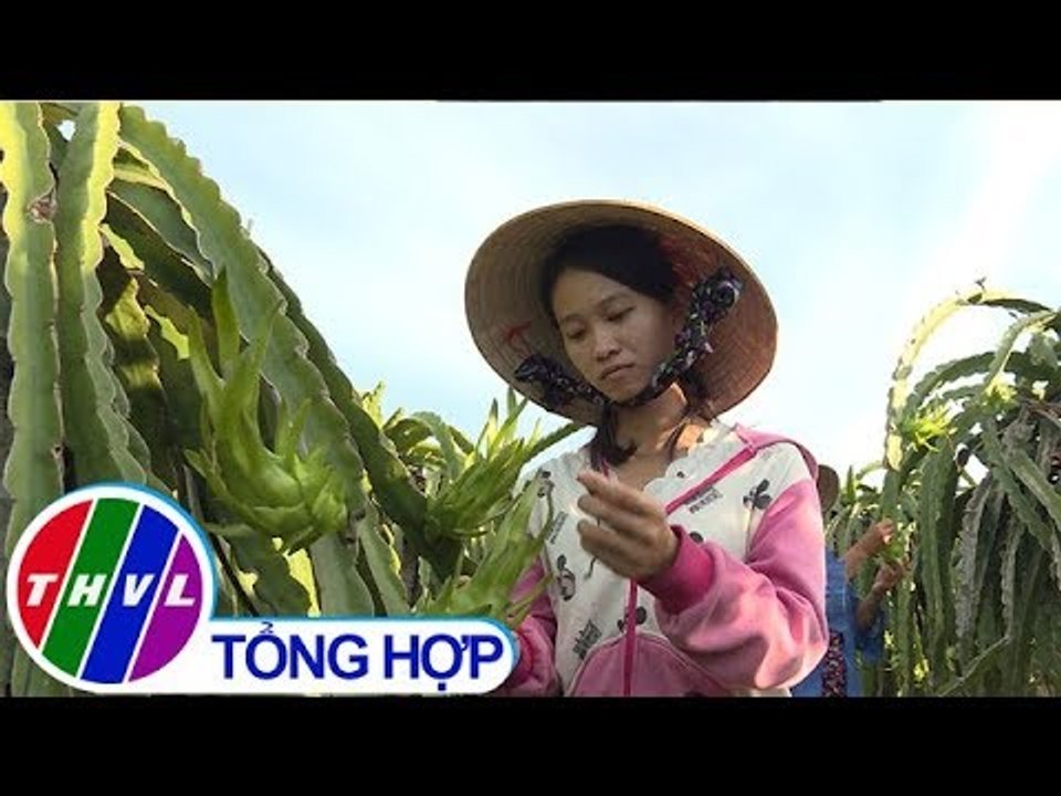 THVL | Thắp sáng niềm tin – Kỳ 490: Em Nguyễn Thị Ngọc Dân