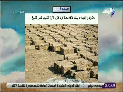 صباح البلد - «شؤون البيئة» يسلم 93 معدة فرم قش الأرز لشباب كفر الشيخ