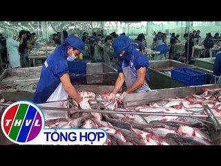 THVL | Kim ngạch xuất khẩu cá tra năm 2019 dự kiến đạt 2,4 tỷ USD