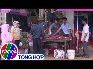 THVL | Hơn 100 con trâu bị giết thịt trong Lễ hội văn hóa dân gian Việt Bắc tại Đắk Lắk