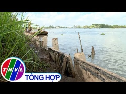 THVL | Người dân Cồn Giông phấn khởi vì có đê bao kiên cố