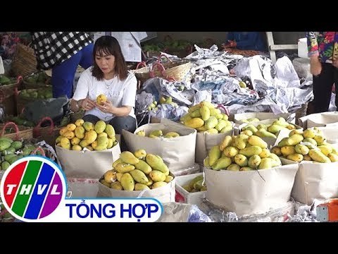 THVL | Xoài Việt Nam chính thức được cấp phép vào thị trường Mỹ