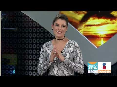 Guillermo Del Toro creará un Centro Internacional de Animación en México | Noticias con Paco Zea