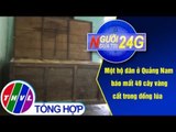 THVL | Người đưa tin 24G (11g ngày 01/03/2019)