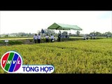 THVL |  Viện lúa Đồng bằng Sông Cửu Long tổ chức hội thảo đánh giá các giống lúa trồng khảo nghiệm