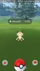 Pokémon GO Meowth