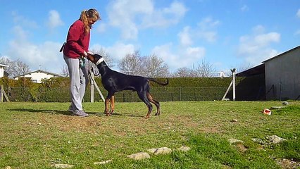 Timus entrainement expo 7 mois
