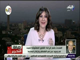 صالة التحرير - المتحدث باسم الزراعة: بذور الطماطم المستوردة مغشوشة وتسبب تلف مساحة كبيرة من المحصول