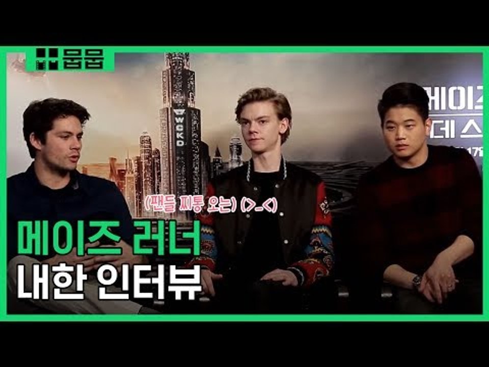 팬들 찌통 오는 '메이즈 러너' 내한 인터뷰(feat.고생의 역사) [...