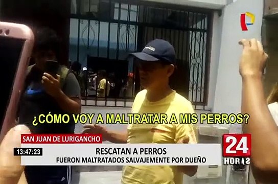 SJL: rescatan a dos perros que eran maltratados salvajemente por su dueño