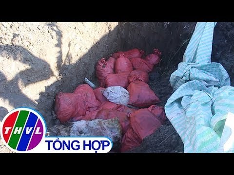 THVL | Phát hiện doanh nghiệp chôn hơn 1,5 tấn thuốc bảo vệ thực vật hết hạn