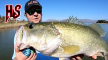 Hook Shots: A New Bass Fly Fishery In Old Mexico