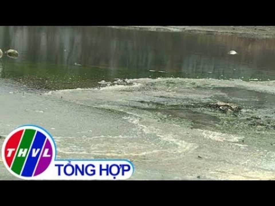 THVL | Trạm bơm quá tải, nước thải hôi thối lại tràn ra vịnh Đà Nẵng