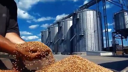 Brasil: Silos es Agro