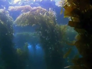 은평출장안마 -여대생！Ø1Øx2997b5327【문의톡DDR88】은평전지역출장마사지은평출장안마'은평출장마사지황형'출장안마'※≒℃출장오피'출장마사지'콜걸