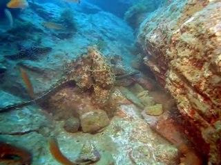 해운대출장안마 -여대생！Ø7Øg8782a38ØØ{톡문의ZHF526}해운대전지역출장마사지해운대출장안마'해운대출장마사지황형'출장안마'ŧŋŉ출장오피출장오피