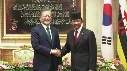 한·브루나이 정상 회담..."브루나이와 인프라·LNG 적극 협력" / YTN