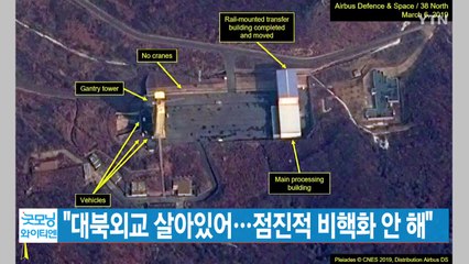 [YTN 실시간뉴스] 비건 "대북외교 살아있어...점진적 비핵화 안 해" / YTN