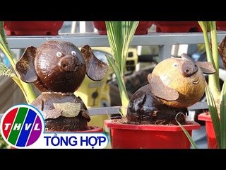 THVL | Ngộ nghĩnh với heo dừa bonsai