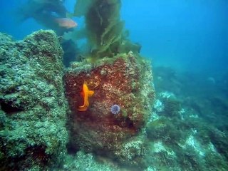 태백출장안마 -여대생！Ø1Øw2671s8135{문의톡KC456}태백전지역출장마사지태백출장안마'태백출장마사지황형'출장안마'ニヌネ출장오피출장오피