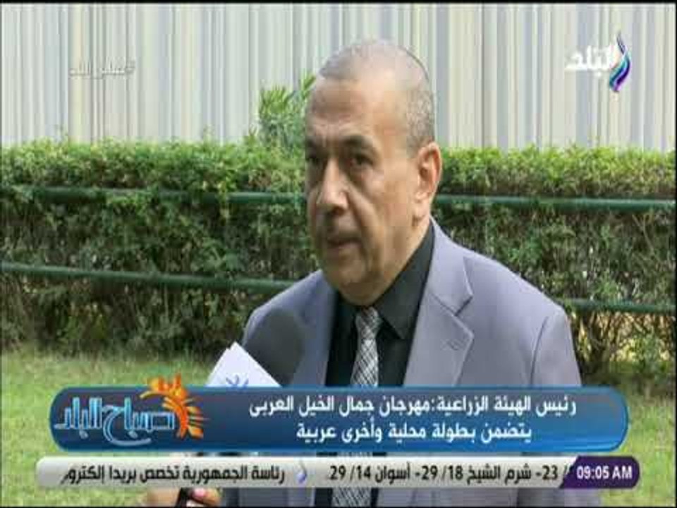 صباح البلد - رئيس الهيئة الزراعية: محطة الزهراء معقل الحصان العربى الأصيل