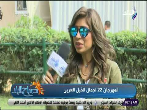 صباح البلد - تعرف على شروط ومواصفات المشاركة فى مهرجان جمال الخيل العربي