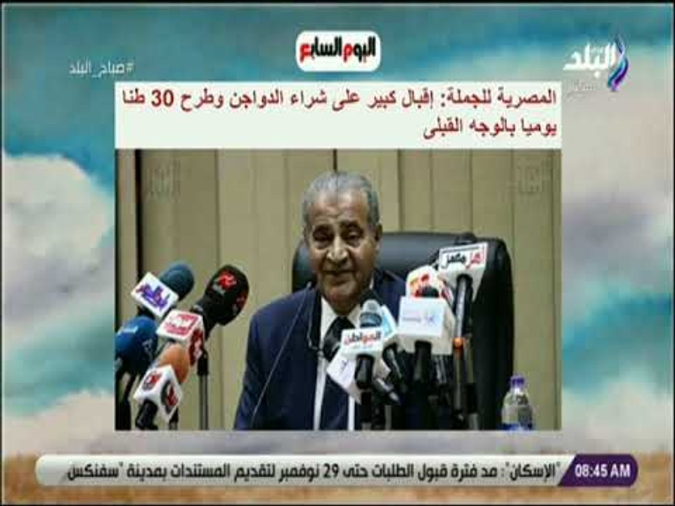 صباح البلد - المصرية للجملة: إقبال كبير على شرا...