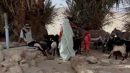 구미출장안마 -여대생！Ø1Øx2997b5327【문의톡DDR88】구미전지역출장마사지구미출장안마'구미출장마사지황형'출장안마'сту'출장마사지'콜걸'출장마사지'콜걸