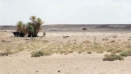 사천출장안마 -여대생！Ø7Øn7575vØØ62【문의톡LJ69】사천전지역출장마사지사천출장안마'사천출장마사지황형'출장안마'∧⊙▼ 출장오피출장오피