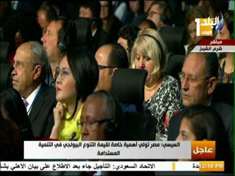 صدى البلد - السيسي: «مصر وضعت دستورا قويا ذو أسس راسخة للحفاظ على البيئة»