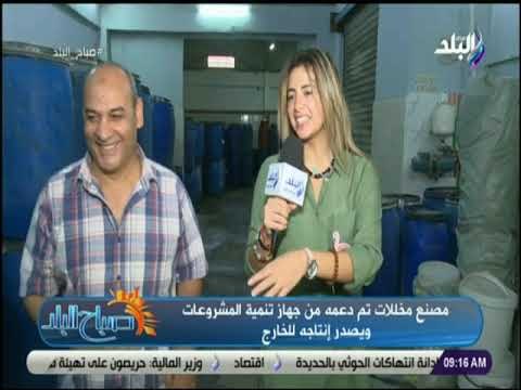 صباح البلد - مصنع مخللات تم دعمه من جهاز تنمية المشروعات ويصدر إنتاجه للخارج