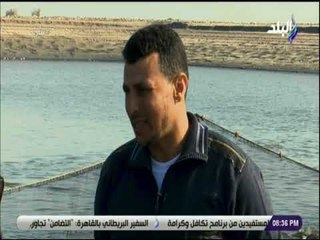 نظرة  - مشرف صيادين فى بركة غليون: 20 الى 30 طن انتاج كل حوض من البلطى والبوري