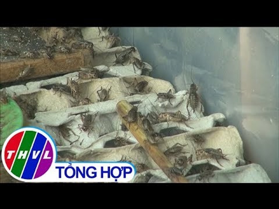 THVL | Vĩnh Long hỗ trợ phụ nữ khởi nghiệp