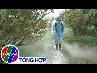 THVL | Hà Nội phát hiện thêm 3 ổ dịch tả heo Châu Phi