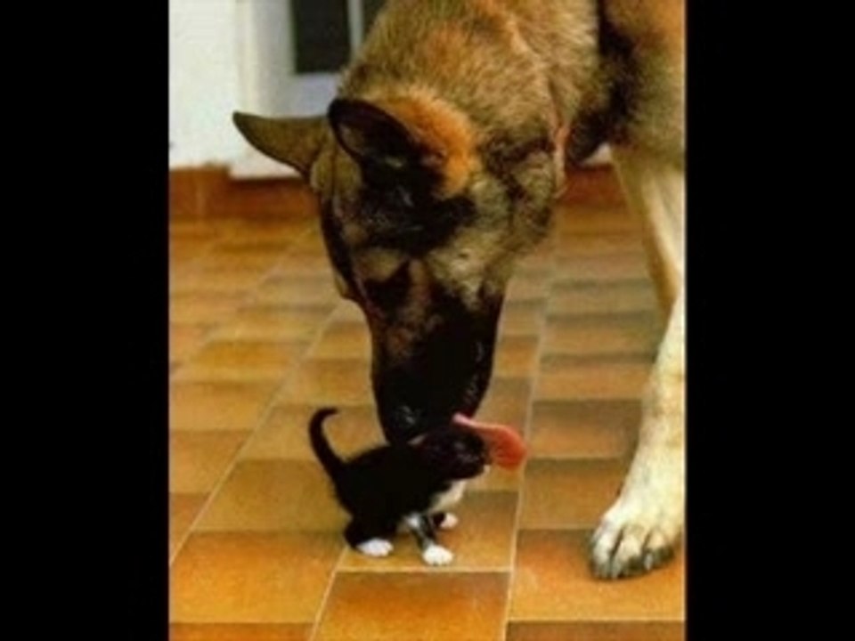 RELAX !!TaKE IT EASY.