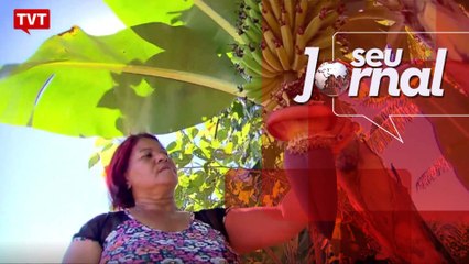 Na África, ONU volta a discutir meio ambiente