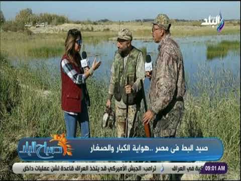 صباح البلد - لعشاق صيد الطيور المهاجرة ..تعرف على اسرار ومواعيد «صيد البط» بالشرقية