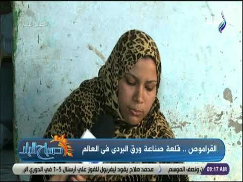 صباح البلد - تعرف علي سر إتقان سيدات قرية القراموص صناعة ورق البردي