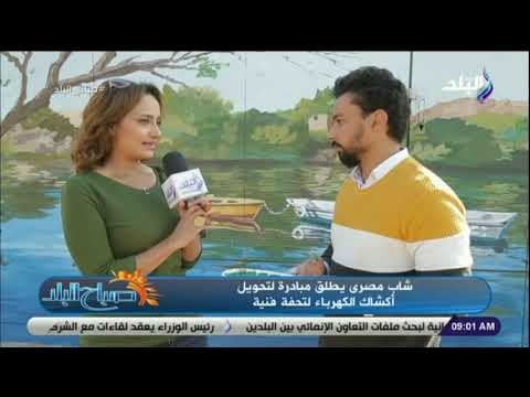 صباح البلد - شاهد .. فنان مصري يحول «أكشاك الكهرباء» بالشوارع إلى لوحات فنية غاية فى الجمال