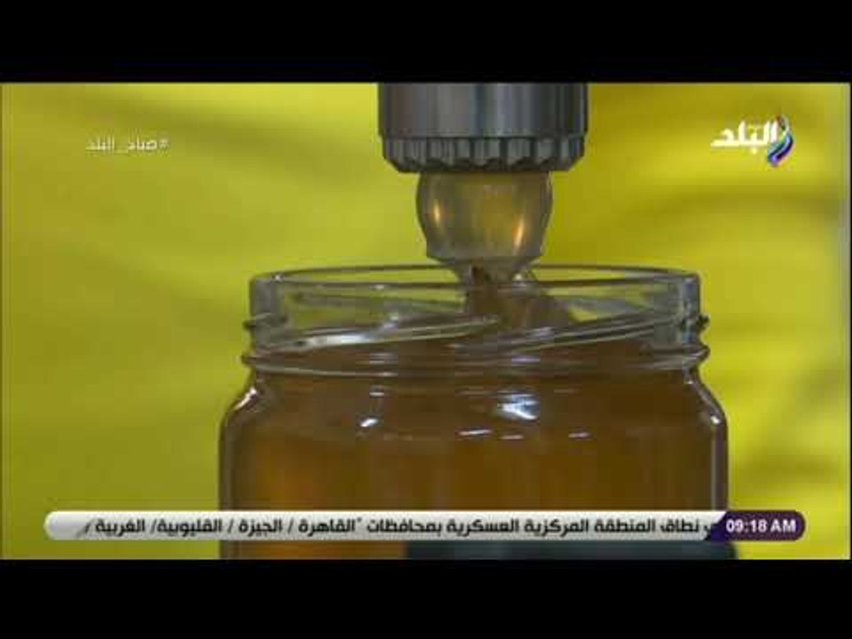 صباح البلد-رئيس اتحاد النحالين:التحرك بخلايات النحل واكتشاف الأماكن الدافئة أنعش مهنةإنتاج عسل النحل