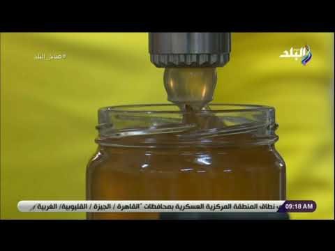 صباح البلد-رئيس اتحاد النحالين:التحرك بخلايات النحل واكتشاف الأماكن الدافئة أنعش مهنةإنتاج عسل النحل