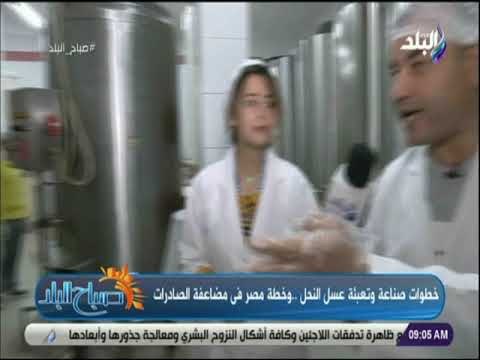 صباح البلد - رئيس اتحاد النحالين يكشف أسباب خفة العسل وطرق علاجه