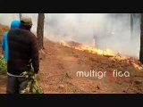 Terrible  Incendio forestal se desato en el bosque del Cofre en  Las Vigas  México