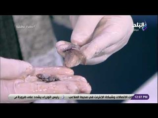 سفرة و طبلية مع الشيف هالة فهمي - طريقة عمل البساريا المشويه‎