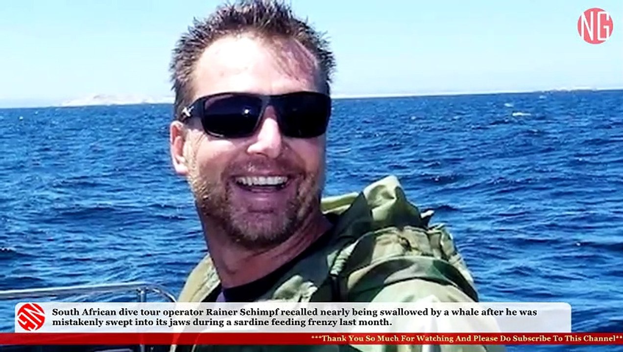 South African Diver Swallowed By Whale Headfirst, But Escaped