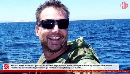 South African Diver Swallowed By Whale Headfirst, But Escaped