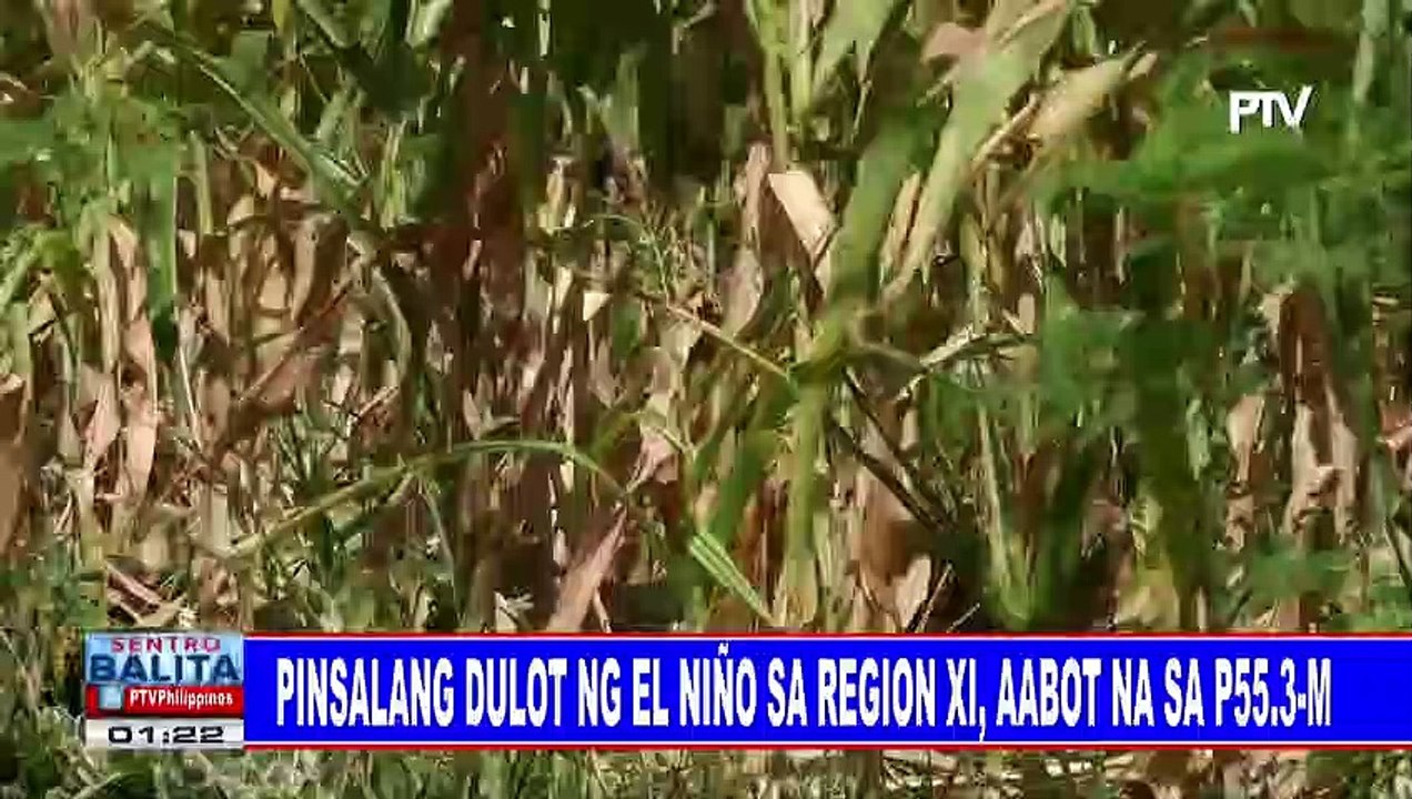 Pinsalang dulot ng El Niño sa Region XI, aabot na sa P55.3-M